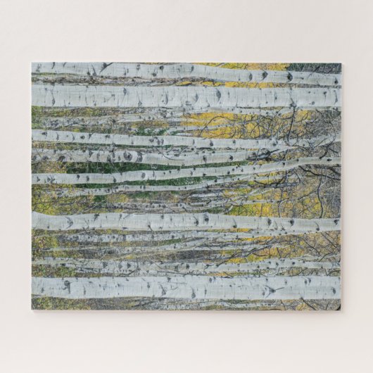 Aspen Tree Trunks | Aspen, Colorado Puzzle (Horizontal)