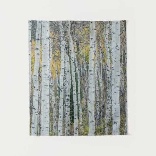 Aspen Tree Trunks | Aspen, Colorado Wandteppich (Vorderseite)