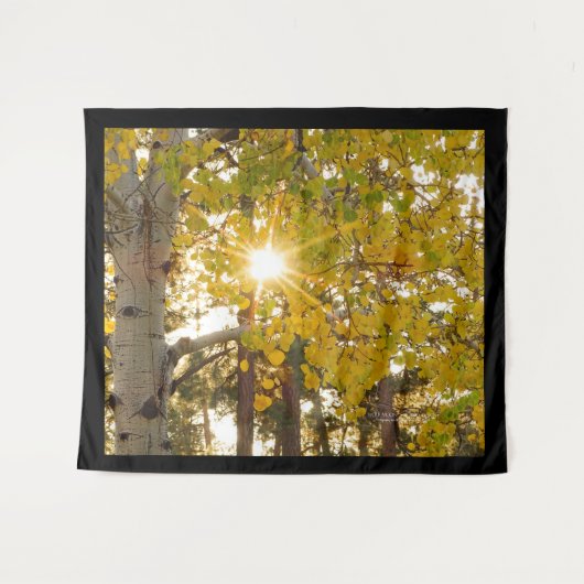 Aspen Tree with Yellow Fall Foliage Sunburst 68x80 Wandteppich (Vorderseite (Horizontal))