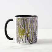 Aspen Tree Woodland Tasse (Links)