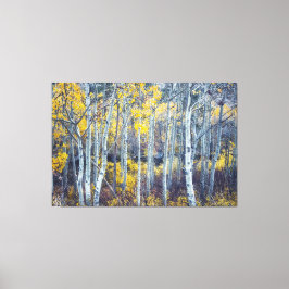 Aspen Trees Forest in Fall Foliage Leinwanddruck