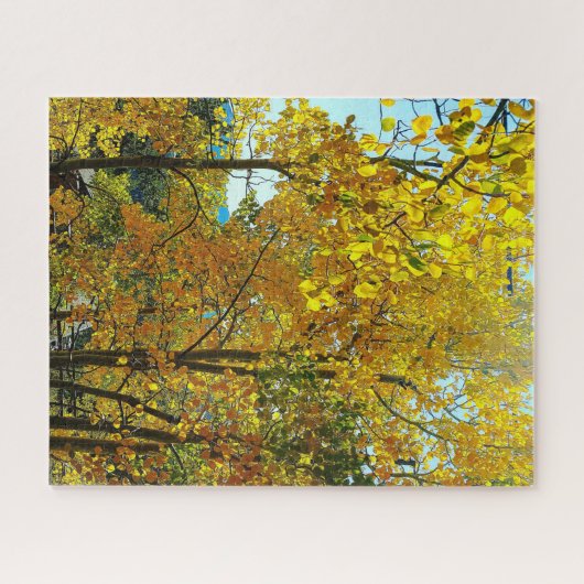 Aspen Trees Herbstlaube Puzzle (Horizontal)