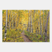 Aspen Trees in den Herbstfarben Geschenkpapier Set (Vorderseite 2)