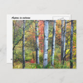 Aspen Trees in Herbst Postkarte (Vorne/Hinten)