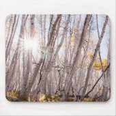 Aspen Trees Mousepad (Vorne)