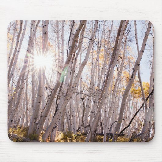 Aspen Trees Mousepad (Vorne)