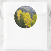 Aspen Trees (Populus Tremuloides) und Nadelbäume 2 Runder Aufkleber (Tasche)