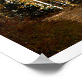 Aspen Trees Poster (Ecke)