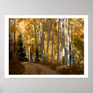Aspen Trees Poster