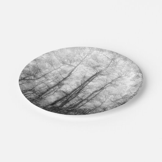 Aspen Trees - Schwarz und Weiß Pappteller (Schrägansicht)