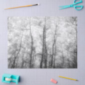 Aspen Trees - Schwarz und Weiß Seidenpapier (Basteln)