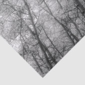 Aspen Trees - Schwarz und Weiß Seidenpapier (Detail)