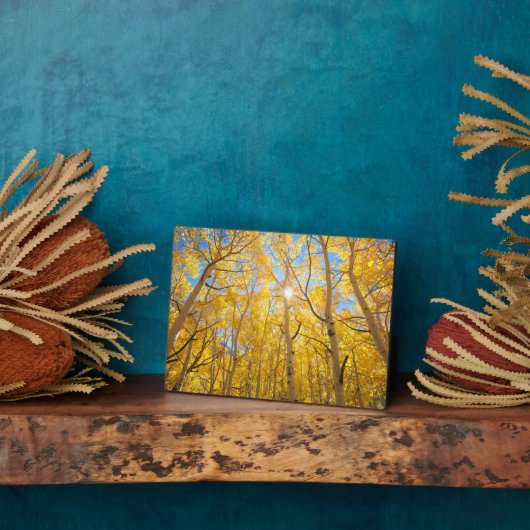 Aspen Trees | Sierra Nevada, CA Fotoplatte (Seite)