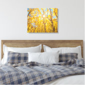 Aspen Trees | Sierra Nevada, CA Leinwanddruck (Insitu (Schlafzimmer))