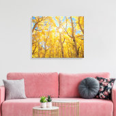 Aspen Trees | Sierra Nevada, CA Leinwanddruck (Insitu (Wohnzimmer))