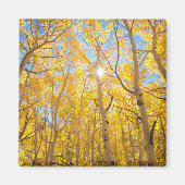 Aspen Trees | Sierra Nevada, CA Magnet (Vorne)