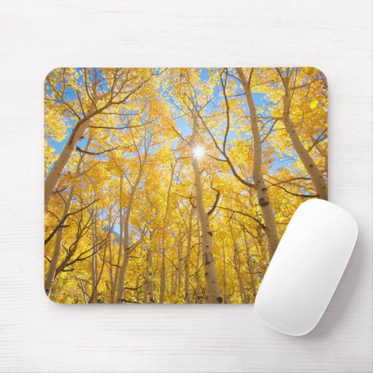 Aspen Trees | Sierra Nevada, CA Mousepad (Mit Mouse)