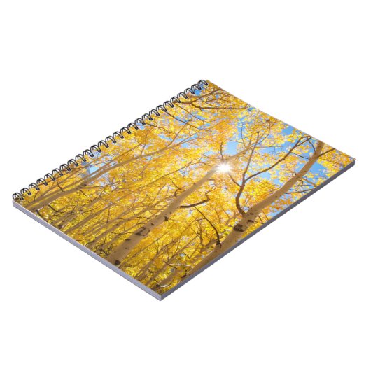 Aspen Trees | Sierra Nevada, CA Notizblock (Linke Seite)