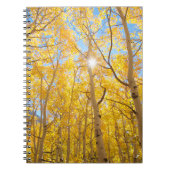 Aspen Trees | Sierra Nevada, CA Notizblock (Vorderseite)