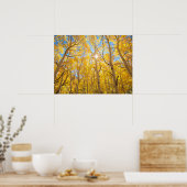 Aspen Trees | Sierra Nevada, CA Poster (Küche)