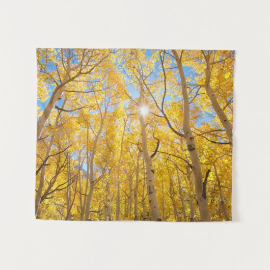 Aspen Trees | Sierra Nevada, CA Wandteppich (Vorderseite (Horizontal))