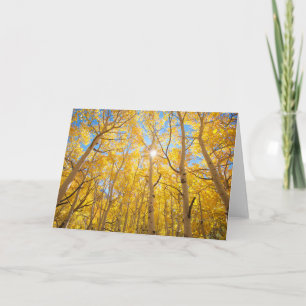 Aspen Trees   Sierra Nevada Mountains, CA Karte