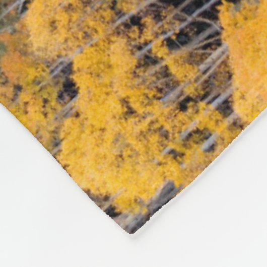 Aspen Trees | White River National Forest Fleecedecke (Ecke)