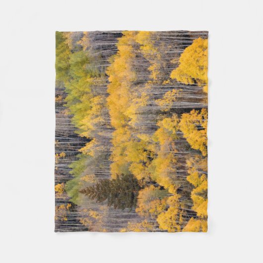 Aspen Trees | White River National Forest Fleecedecke (Vorderseite)