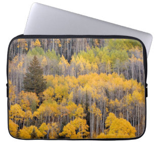 Aspen Trees White River National Forest Laptopschutzhülle