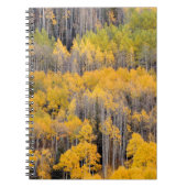 Aspen Trees | White River National Forest Notizblock (Vorderseite)