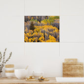 Aspen Trees | White River National Forest Poster (Küche)