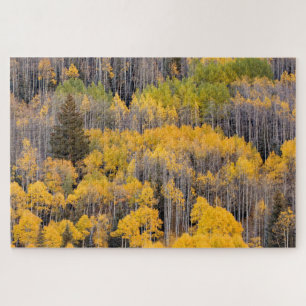 Aspen Trees White River National Forest Puzzle