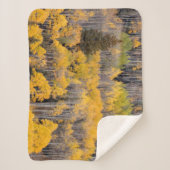 Aspen Trees | White River National Forest Sherpadecke (Vorderseite)