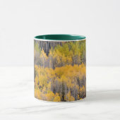 Aspen Trees | White River National Forest Tasse (Zentrum)