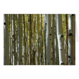 Aspen Trunks II-Karte