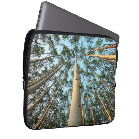 Aspen Trunks und Blätter, Yukon Laptopschutzhülle (Vorne Rechts)