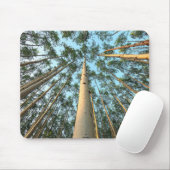 Aspen Trunks und Blätter, Yukon Mousepad (Mit Mouse)