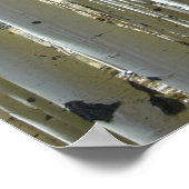 Aspen Trunks vertikaler Druck Poster (Ecke)