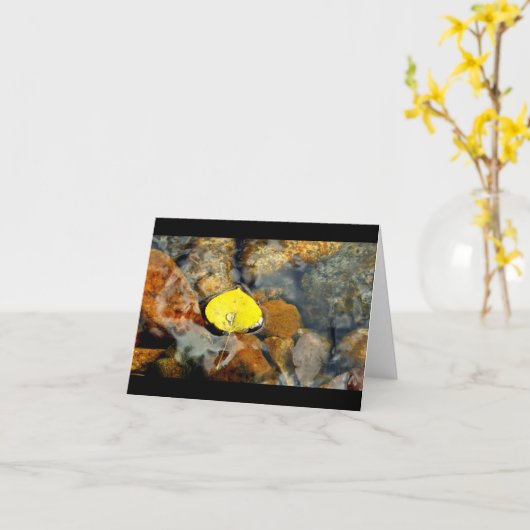 Aspen u. die leere Karte des Wassertropfens (Gelbe Blume)