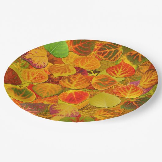 Aspen verlässt Collage festes Gemisch 1 Pappteller (Schrägansicht)