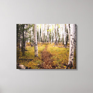 Aspen-Wald im Fall Leinwanddruck
