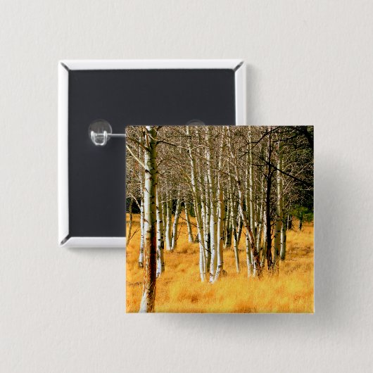 Aspen Woods Button (Vorne & Hinten)