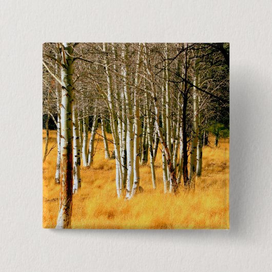 Aspen Woods Button (Vorderseite)