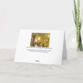 Aspenbaum mit Gelbfallblättern und Sonnenbrand Karte (Rückseite)