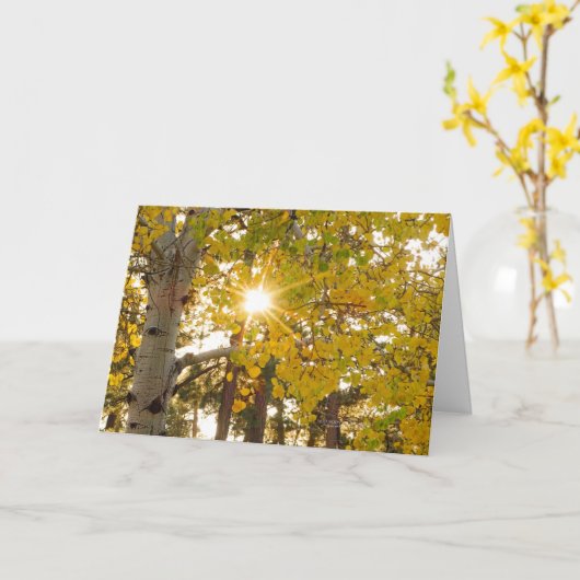 Aspenbaum mit Gelbfallblättern und Sonnenbrand Karte (Gelbe Blume)