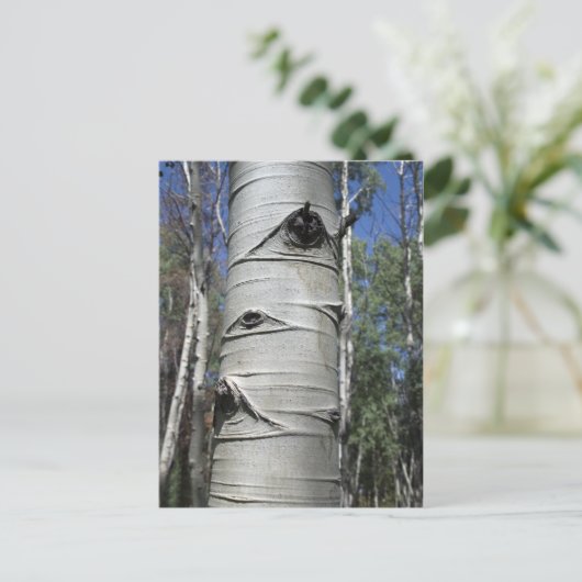 Aspenbaum Postkarte (Stehend Vorderseite)