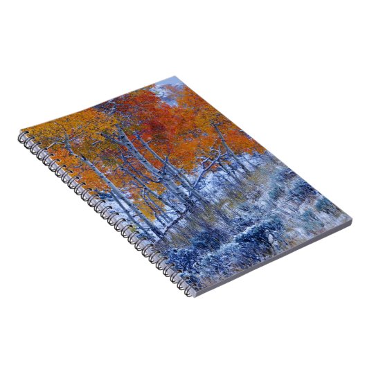 Aspenbäume in Herbstfarben, Bighorngebirge, Notizblock (Rechte Seite)