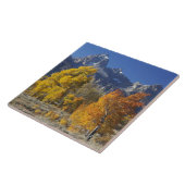 Aspenbäume mit dem Teton-Gebirge Fliese (Seite)