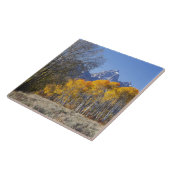 Aspenbäume mit dem Teton-Gebirge Fliese (Seite)