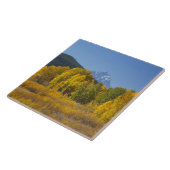 Aspenbäume mit dem Teton-Gebirge Fliese (Seite)